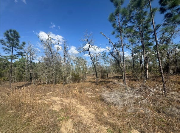 Tbd NE 155TH AVENUE, WILLISTON, FL 32696