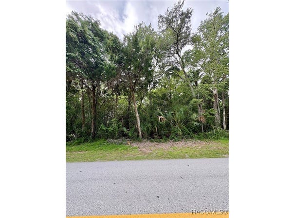 1423 NW 19th Street, Crystal River, FL 34428