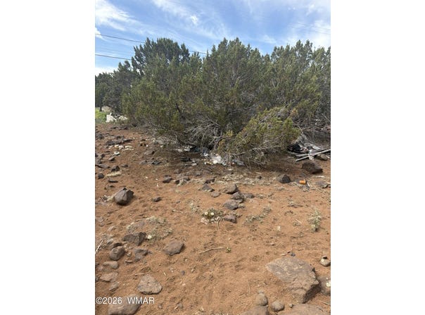 8549 Antelope Drive, Show Low, AZ 85901