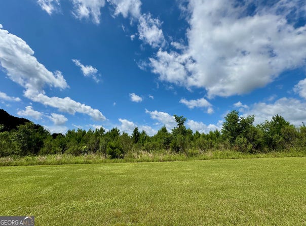 0 Irwinville, Fitzgerald, GA 31750