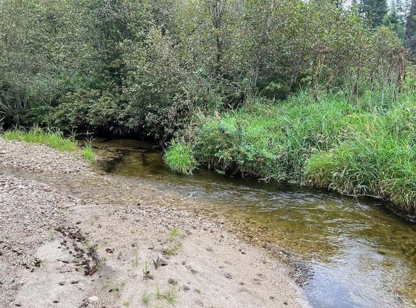 NKA Soggy Bottom Ln, Cusick, WA 99119