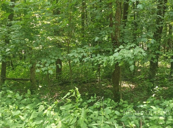 Thorncliff Drive lot: 90, Seven Devils, NC 28607