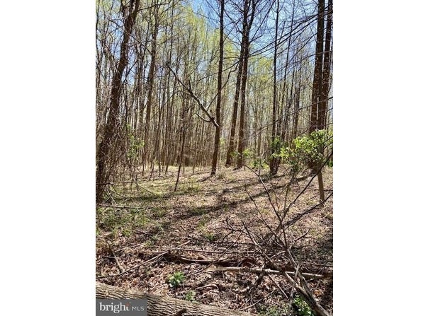 19230 CHANDLEE MILL Road, SANDY SPRING, MD 20860
