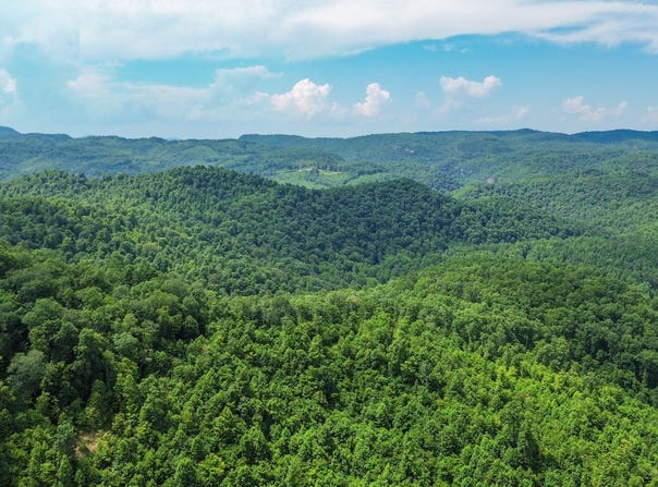 0 Monday Hollow Ln, Duff, TN 37729