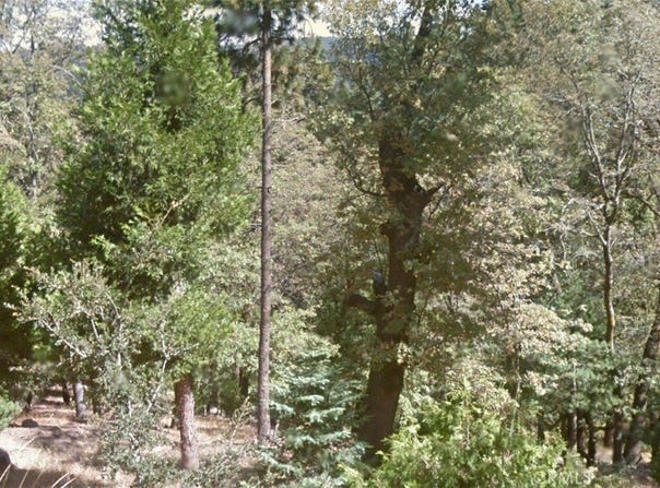 40 Fir Street, Cedarpines Park, CA 92322