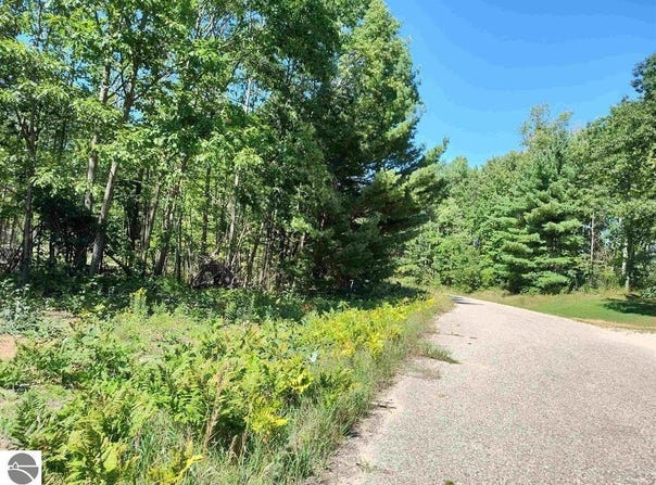 TBD N Circle E, Farwell, MI 48622