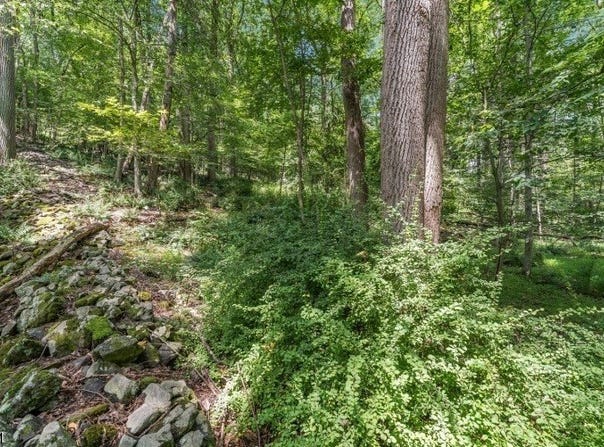 Sweet Hollow Rd, Holland Twp., NJ 08848