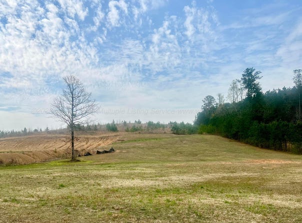 SIPSEY SHORES Dr, Jasper, AL 35503