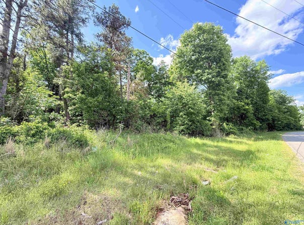 22 acres Water Tank Road, Union Grove, AL 35175