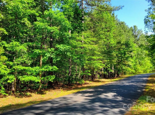 Loblolly Lane unit: 24, Mill Spring, NC 28756