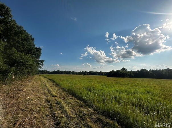 Tract 11b Audrain Rd 935, Mexico, MO 65265