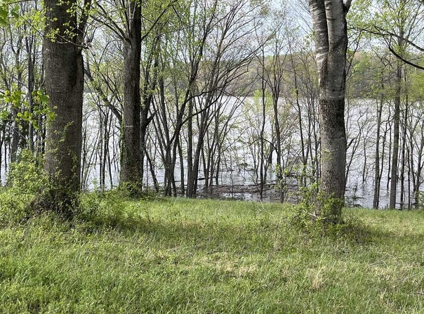 Lot 3 Sunset Point, Scottsville, KY 42164