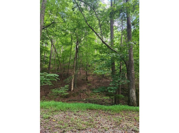 Lot 133 Shiloh Court, Ellijay, GA 30540
