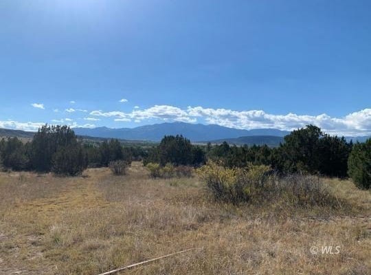 TBD Indian Falls Dr, Colorado City, CO 81004