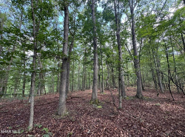 Off Tulls Hill Road, Manns Choice, PA 15550