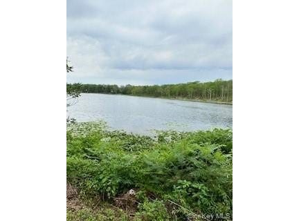 Gardner Drive, Port Jervis, NY 12771