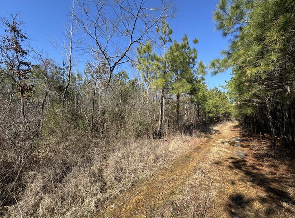E Minnie Vaughn Rd, Columbus, MS 39702