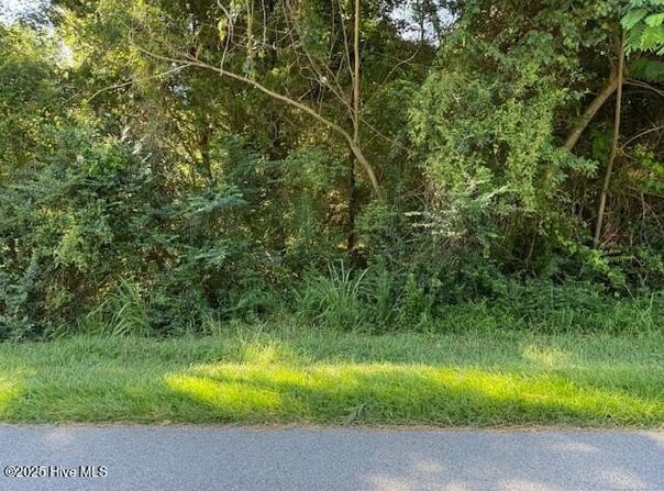 220 Montpelier Drive lot: 1, Edenton, NC 27932