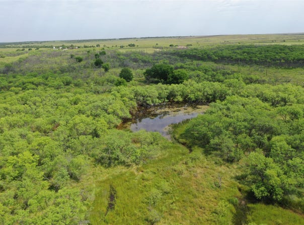 Davis Ln-TRACT 8, Bellevue, TX 76228