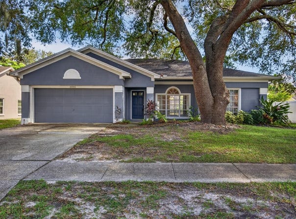 10306 EARLY MIST Lane, RIVERVIEW, FL 33569