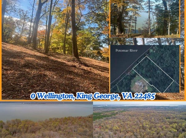 0 WELLINGTON, KING GEORGE, VA 22485