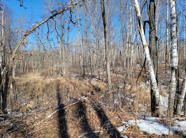 Meadow Lake Road SW, Motley, MN 56466