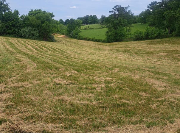 9999 McGill Wyan Road, London, KY 40744