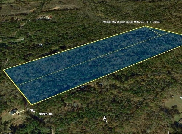 0 Steed Road, Chattahoochee Hills, GA 30213