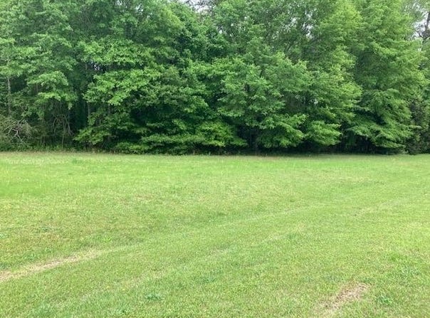 PLANTATION Way, AUBURN, AL 36832