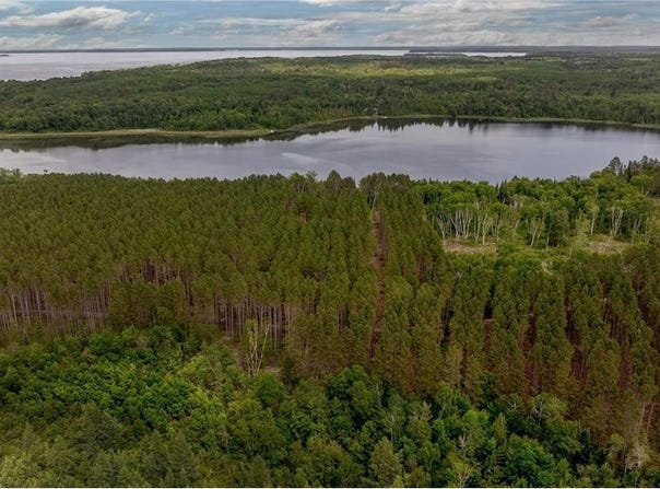 Tbd FS 2666, Walker, MN 56484