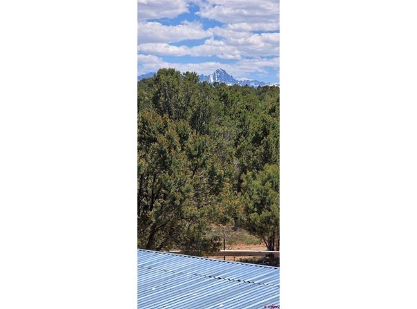 6101 County Road 1, Montrose, CO 81403