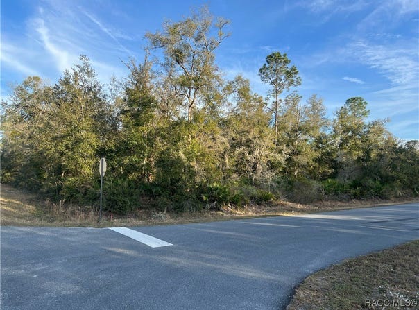 9919 N Pink Moss Point, Crystal River, FL 34428