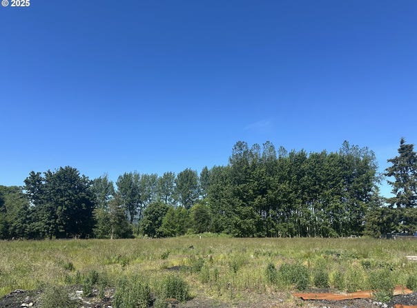 91171 OLD MILL TOWN RD, Clatskanie, OR 97016