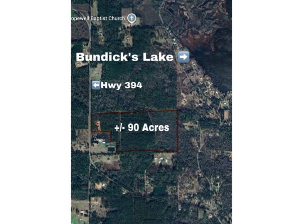 4135 Hwy 394, Deridder, LA 70634