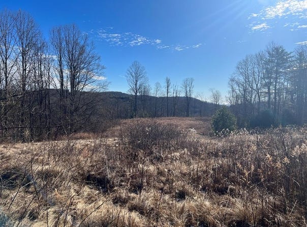 Tbd Partridge Circle Lots 15 & 16, Fancy Gap, VA 24328