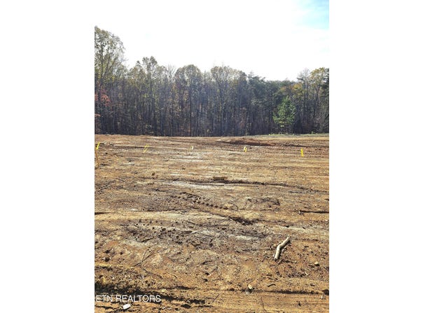 260 Wells Rd, Powell, TN 37849