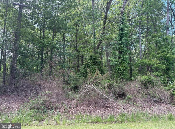 LENAPAH RD, CHESTERTOWN, MD 21620