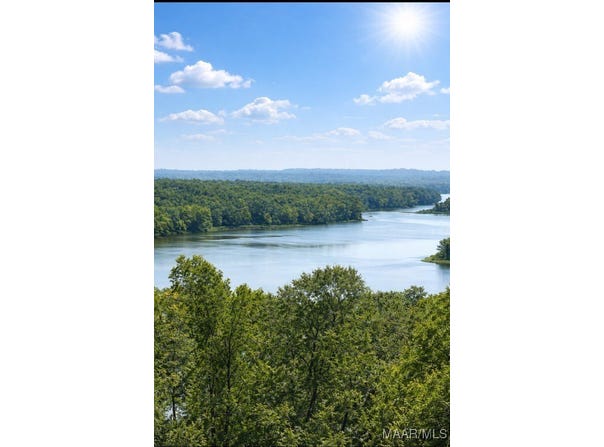 3 Prairie Bluff Drive, Catherine, AL 36728