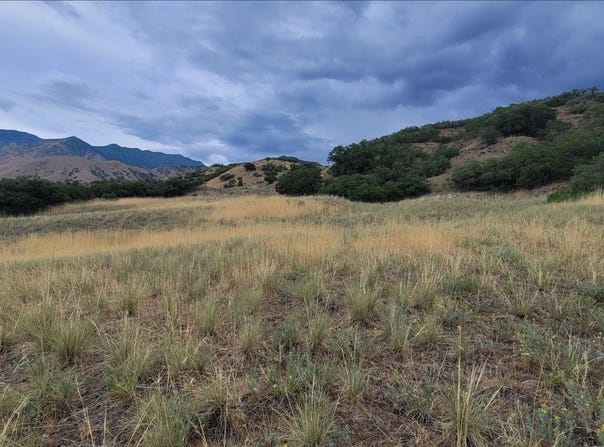 550 N 2000 E, Mapleton, UT 84664