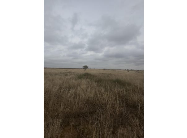 2308 CR 5100, Abernathy, TX 79311