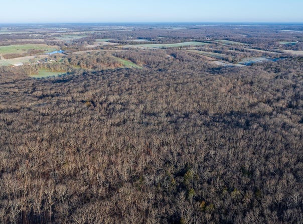 County Road 340, Flemington, MO 65650