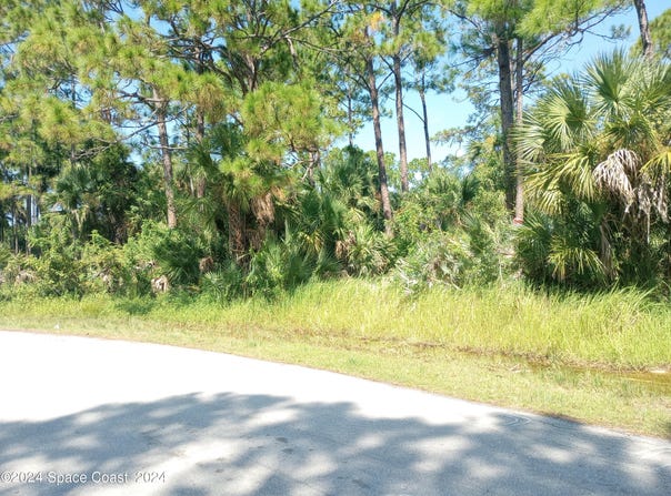 1042 Savery Road, Palm Bay, FL 32908