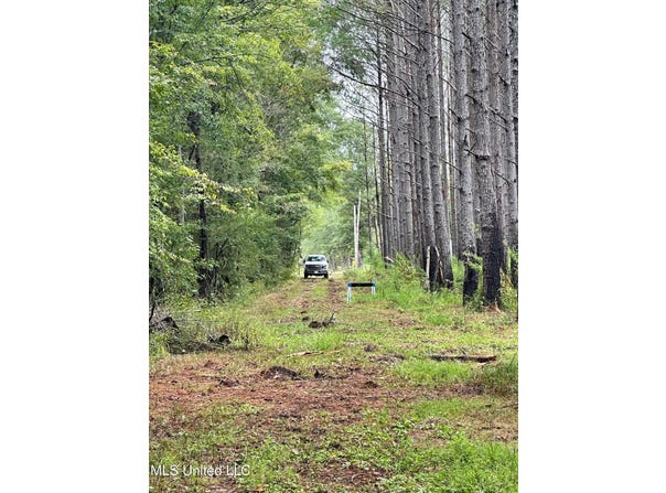 Lot A Swamp Road, Carthage, MS 39051