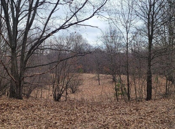 300 N 56th Avenue, Mears, MI 49436