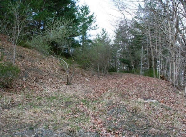 TBD E HIGHLAND TPKE, MONTEREY, VA 24465