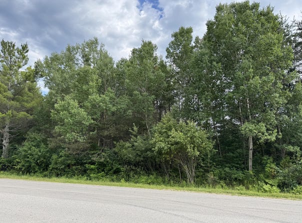 E Victory WAY, Newberry, MI 49868