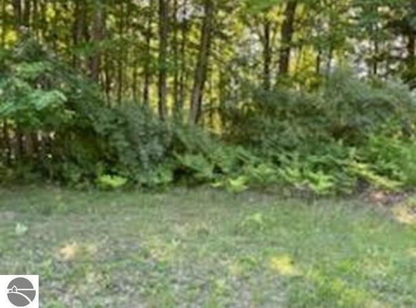 N/A Huron Woods Drive, Tawas City, MI 48763
