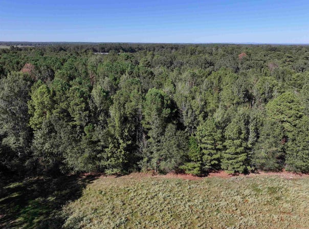 XXX Central Road, Horatio, AR 71842