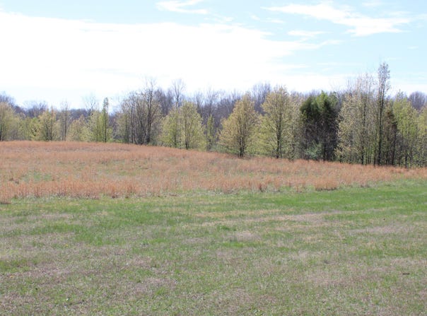 21A1-H-1 Beech Street, Kuttawa, KY 42055