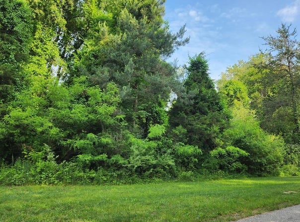 6591 Phoenix Court SE, Alto, MI 49302
